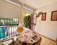 Long time Rental - Ground Floor - Torrevieja - torrevieja