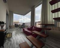 Long time Rental - Penthouse - Elche - Altabix
