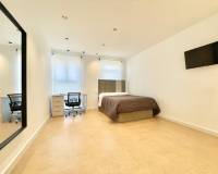 Long time Rental - Penthouse - Murcia