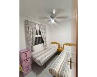 Long time Rental - Penthouse - Torrevieja - Curva del Palangre