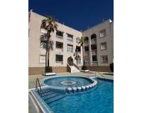 Long time Rental - Penthouse - Torrevieja - Curva del Palangre