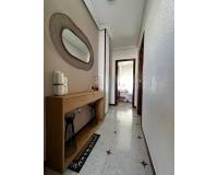 Long time Rental - Penthouse - Torrevieja - Playa de los Locos