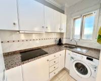 Long time Rental - Penthouse - Torrevieja - torrevieja