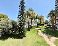 Long time Rental - Studio apartment - Orihuela Costa - Dehesa de campoamor