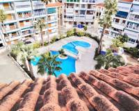 Long time Rental - Studio apartment - Torrevieja - La Mata