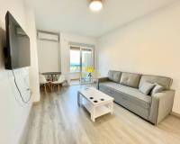 Long time Rental - Studio apartment - Torrevieja - Los Frutales