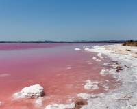 Long time Rental - Townhouse - Torrevieja - torrevieja