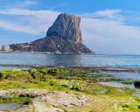 Long time Rental - Villa - Calpe