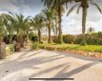 Long time Rental - Villa - Elche - La Hoya