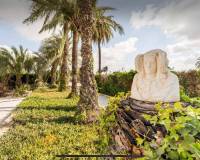 Long time Rental - Villa - Elche - La Hoya