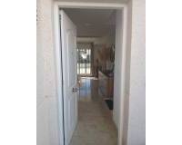 Long time Rental - Villa - Guardamar del Segura - El Raso