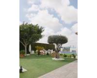 Long time Rental - Villa - La marina - San fulgencio