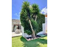 Long time Rental - Villa - Orihuela Costa - Cabo roig - La Zenia