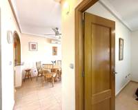 Long time Rental - Villa - Orihuela Costa - Villamartín