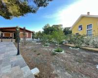 Long time Rental - Villa - San Miguel de Salinas