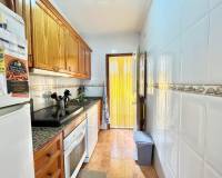 Long time Rental - Villa - Torrevieja - torrevieja