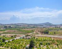 New Build - Penthouse - Jacarilla - Comunidad Valenciana