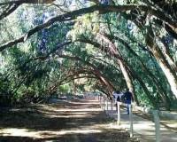 New Build - Townhouse - Torrevieja - Altos del Sol