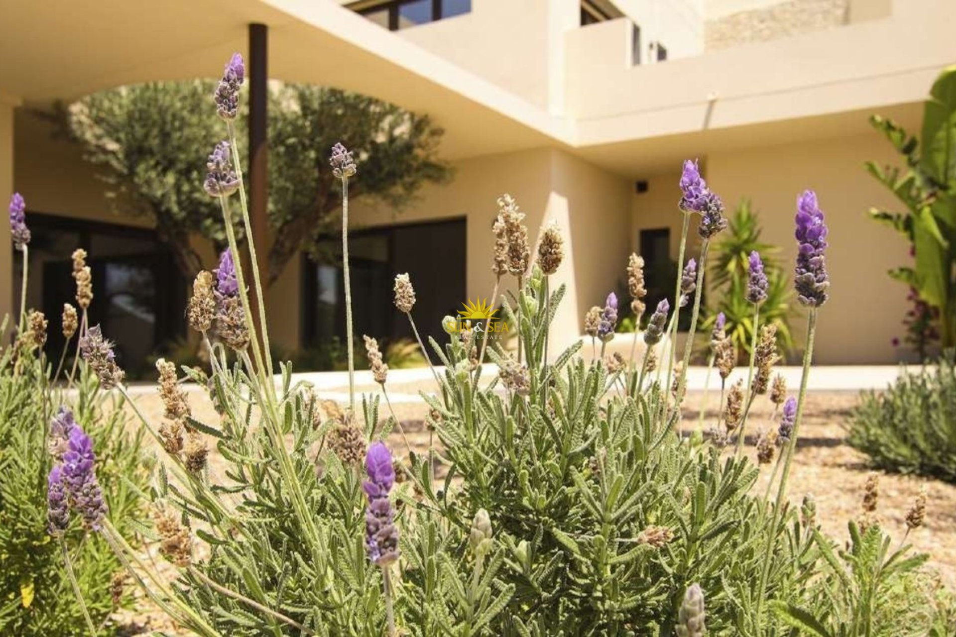 New Build - Villa - La marina - La Marina
