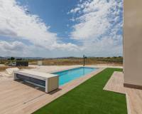 New Build - Villa - Pinoso - Campo