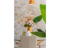 New Build - Villa - Vera - Vera Playa