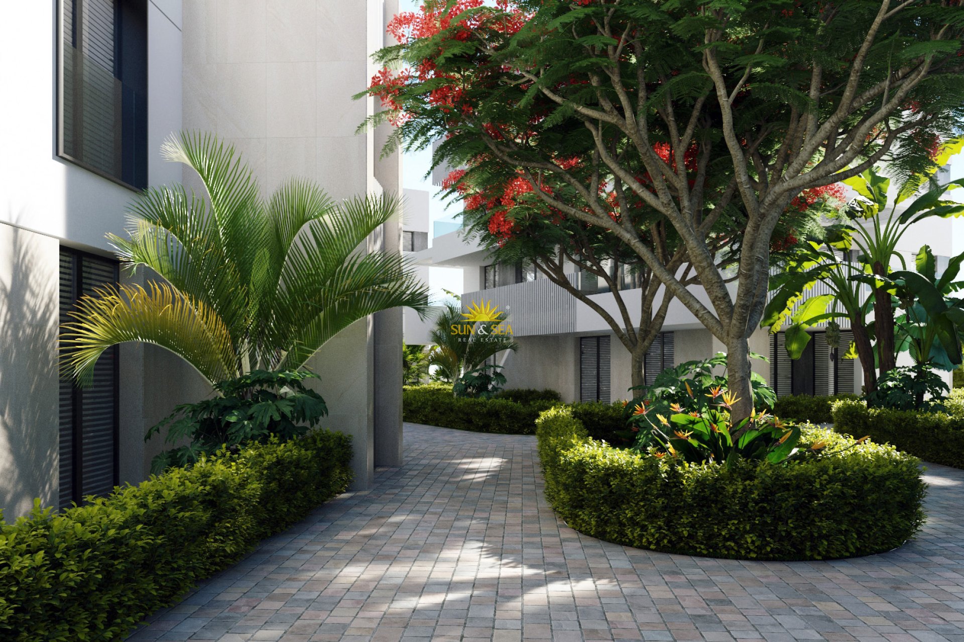 Nouvelle construction - Penthouse - Santa Rosalía