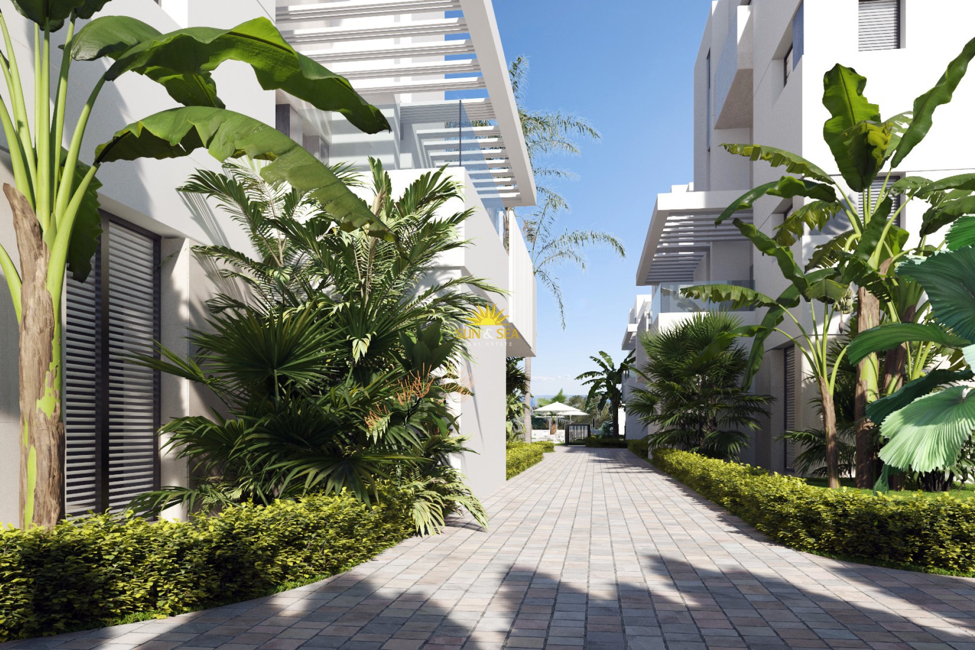 Nouvelle construction - Penthouse - Santa Rosalía