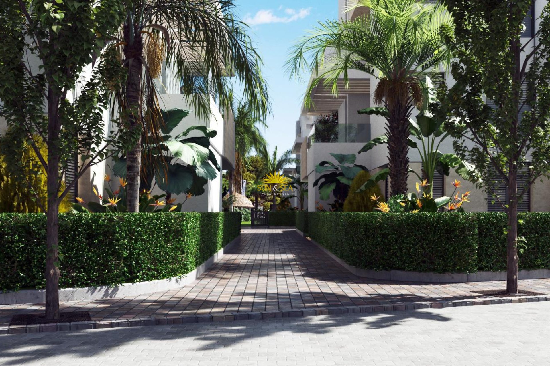 Nouvelle construction - Penthouse - Santa Rosalía