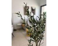 Nouvelle construction - Townhouse - San Fulgencio - Pueblo