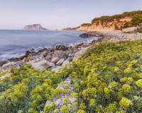 Nouvelle construction - Villa - Benissa - Cala Advocat