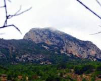 Nouvelle construction - Villa - La Romana - Batistes