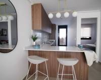 Nouvelle construction - Villa - Pilar de la Horadada - parque Andromeda