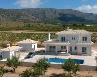 Nouvelle construction - Villa - Pinoso - Camino Del Prado