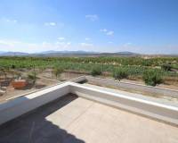 Nouvelle construction - Villa - Pinoso - Camino Del Prado