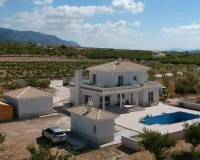 Nouvelle construction - Villa - Pinoso - Camino Del Prado