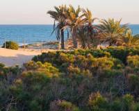 Новое строительство - Penthouse - Guardamar del Segura - Avda del Puerto