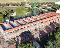 Новое строительство - Townhouse - Pilar de la Horadada - pueblo