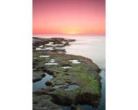 Новое строительство - Townhouse - Torrevieja - Altos del Sol