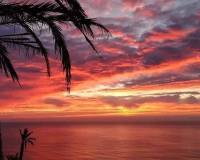 Новое строительство - Townhouse - Torrevieja - Altos del Sol