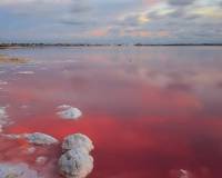 Новое строительство - Townhouse - Torrevieja - Lago Jardín II