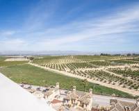 Новое строительство - Villa - Algorfa - La finca golf
