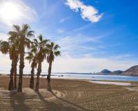 Новое строительство - Villa - Els Poblets - Partida Barranquets