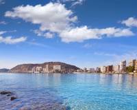 Новое строительство - Villa - Els Poblets - Partida Barranquets