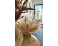 Nueva construcción  - Bungalow - San Fulgencio - Pueblo