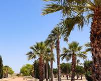 Nueva construcción  - Chalet - San Fulgencio - La Escuera