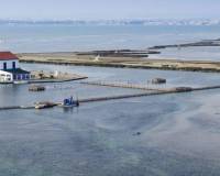 Nueva construcción  - Chalet - San Pedro del Pinatar - Centro