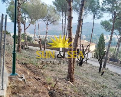 Parcela - Venta - Denia - SS00-201MG