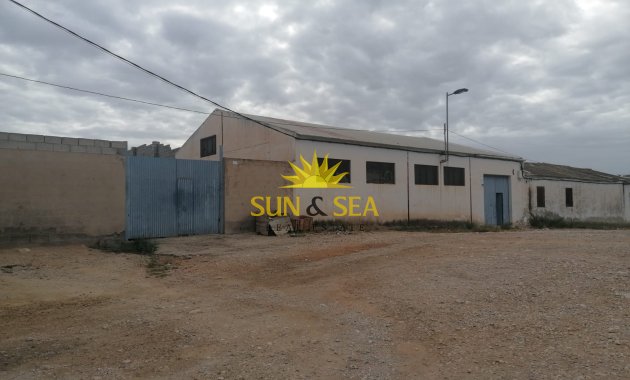 Parcelle - Revente - Crevillente - Crevillente
