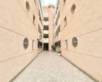 Перепродажа - Apartment - Torrevieja - El Chaparral