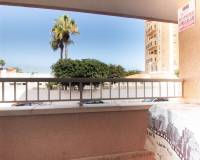 Перепродажа - Apartment - Torrevieja - Playa de los locos